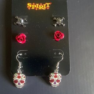 Earrings- Never worn